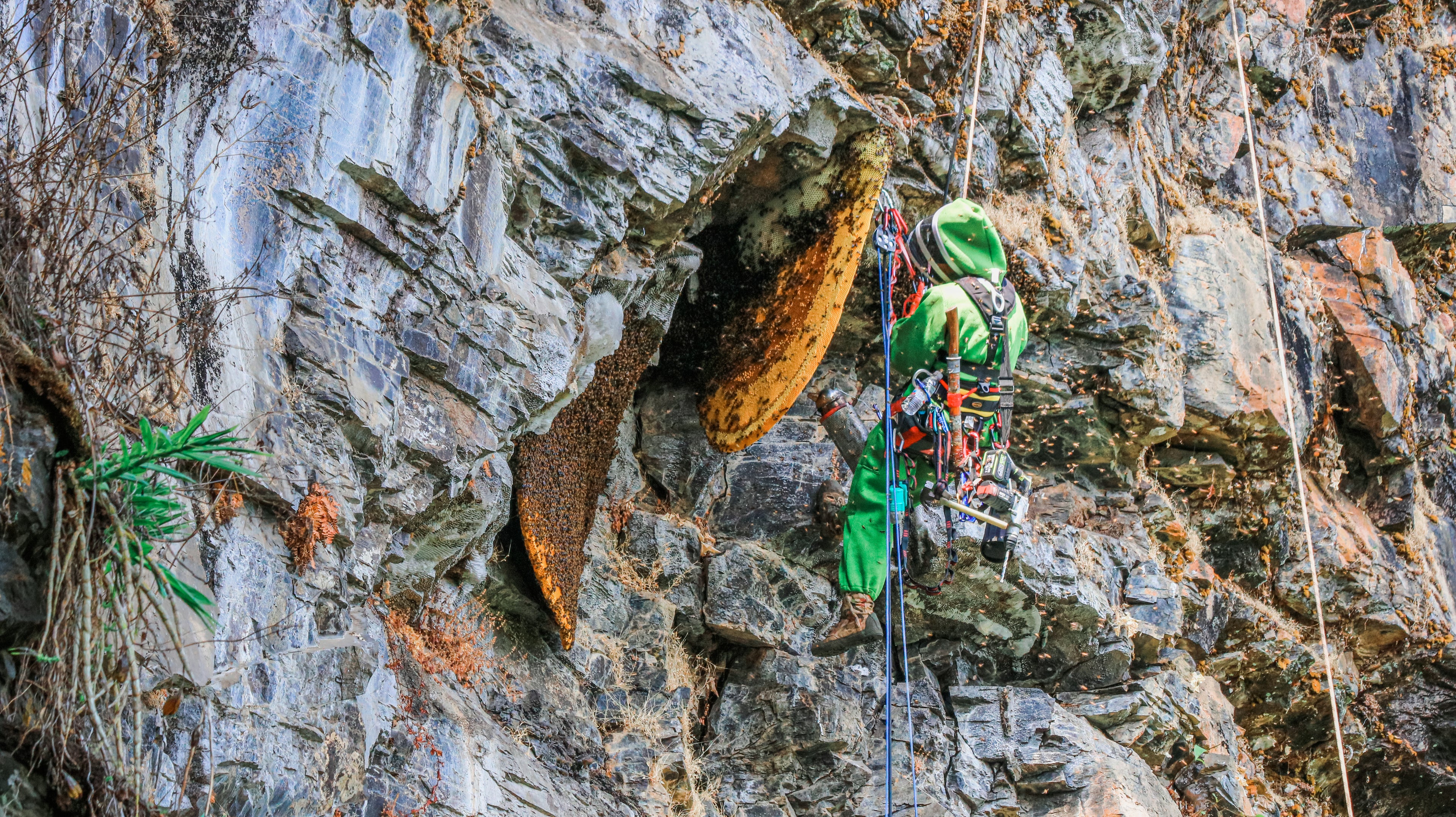 Cliff Honeyslider_item_TkDTkt